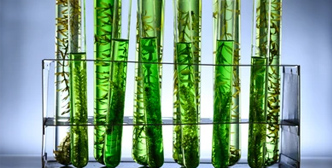 Application of Bioreactor Fermenter in Biofuels and Renewable Energy